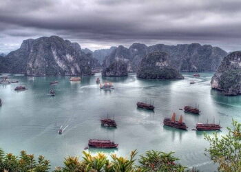 Reasons why People love Tailor-Made Tours