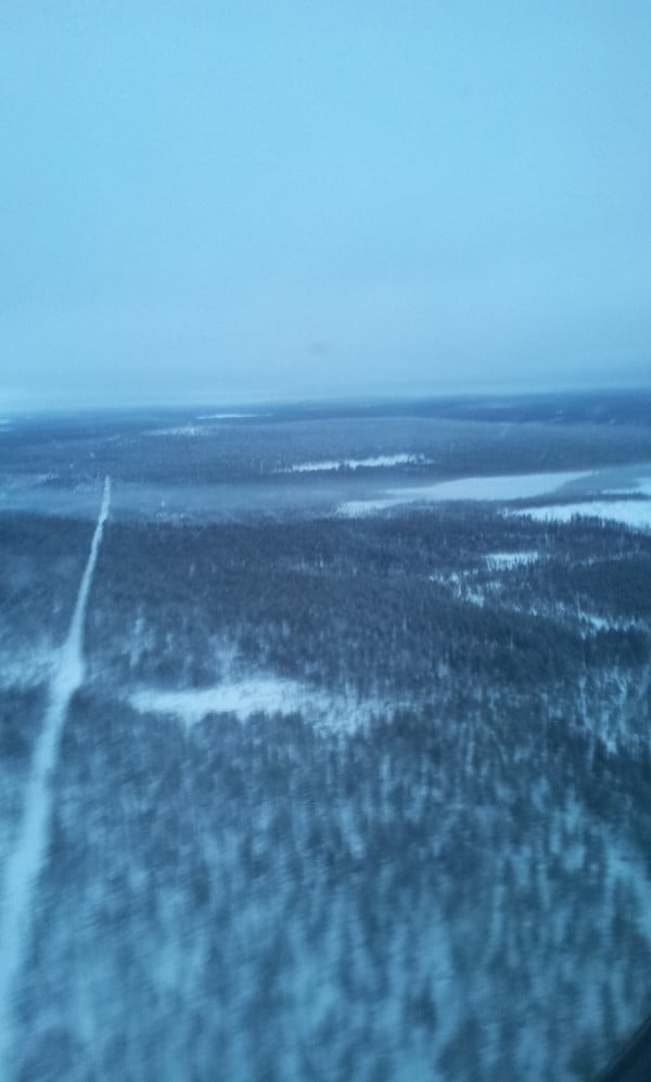 Lapland forest from a plane