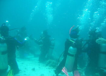 The thrill and excitement of the Maduro dive packages