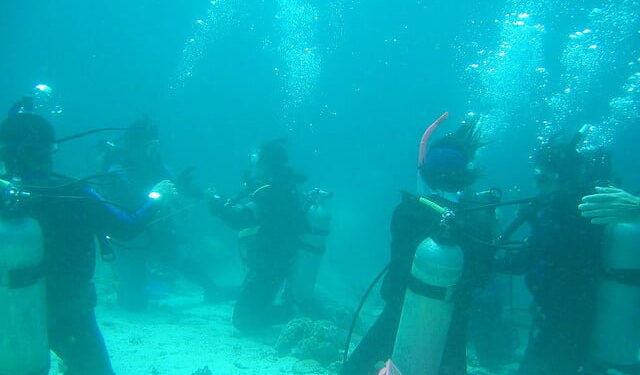 The thrill and excitement of the Maduro dive packages