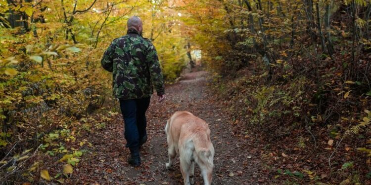 Top 10 Dog Parks In Canada