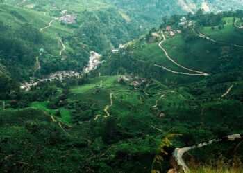 Top 4 Places To Visit in Kerala, India