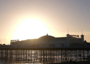 What to Consider When Taking Your Pet on a Vacation