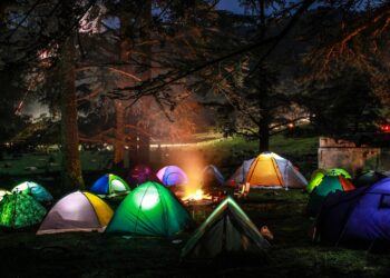 What Is The Difference Between A 3-Way Camping Fridge And A Compressor?