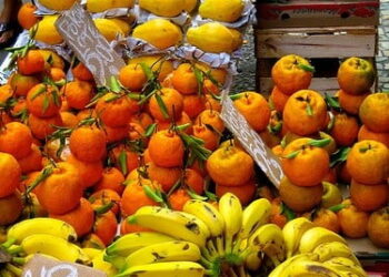 Where to Dine in Brazil? Must Eat Places in Brazil