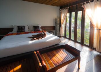 Who Are Carpet Cleaners, And Why do You Need To Hire Them?