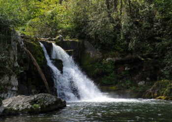 15 Tips For Camping In The Smokies