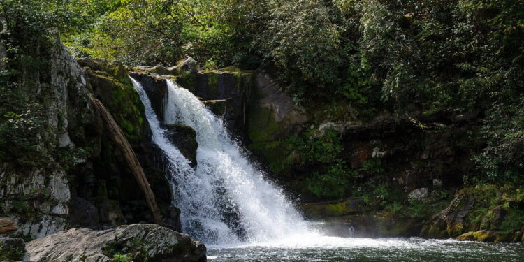 15 Tips For Camping In The Smokies