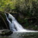 15 Tips For Camping In The Smokies