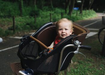 7 Best Front Bike Seats For Toddlers & Young Kids In Nz