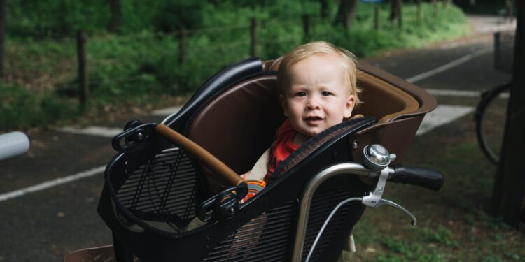 7 Best Front Bike Seats For Toddlers & Young Kids In Nz
