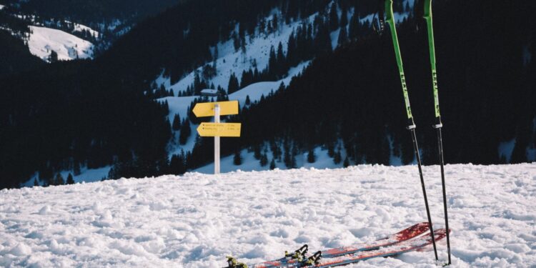 Which Types of Skis are Best for Utah Resorts?