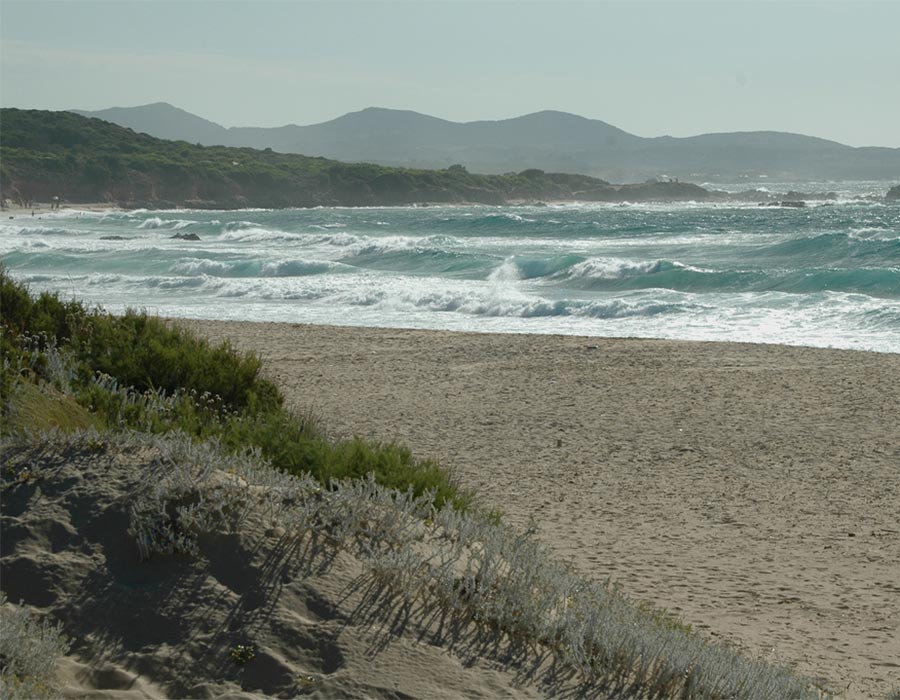 Spiaggia li Feruli 