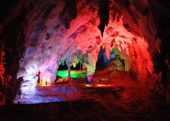 5 Amazing Blue Mountains Experiences