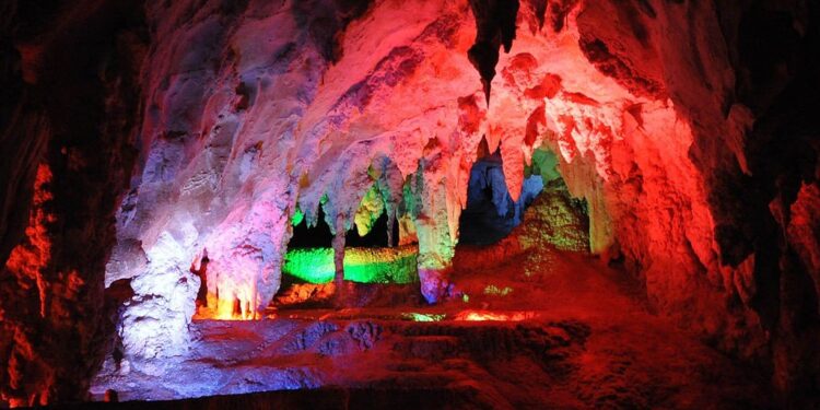 5 Amazing Blue Mountains Experiences