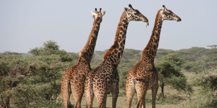 My Travel Bucket List If I Win The Lottery